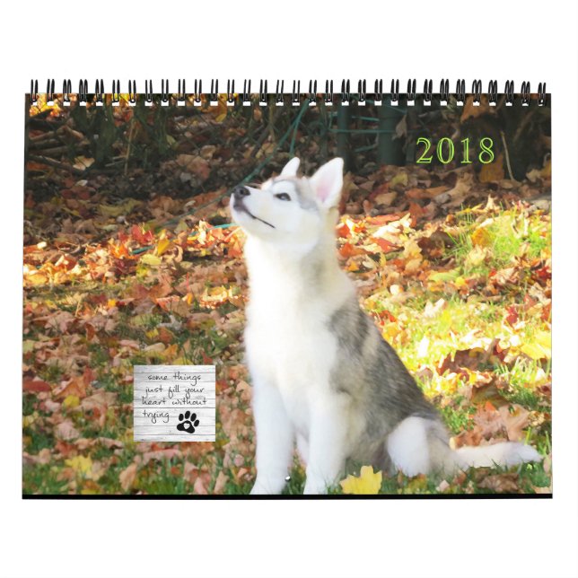 Calendario del husky siberiano (Tapa)