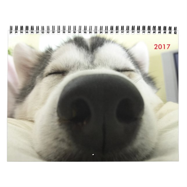 Calendario del husky siberiano (Tapa)