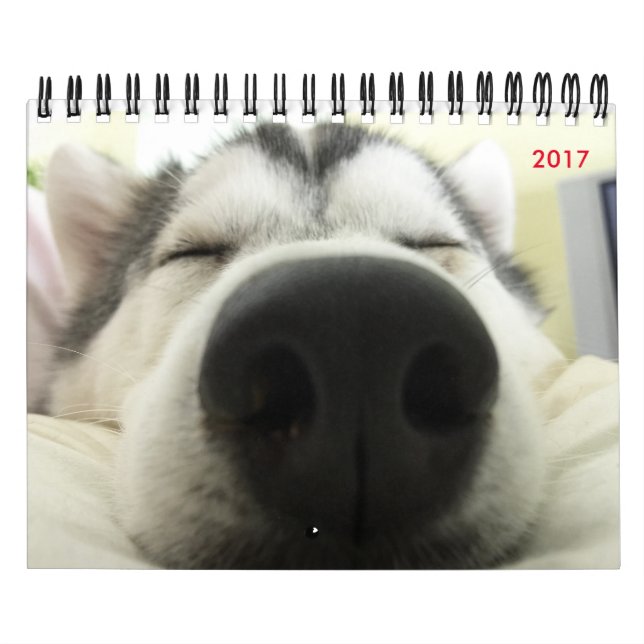 Calendario del husky siberiano (Tapa)