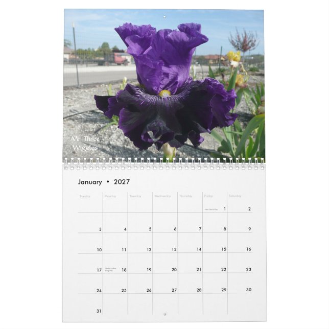 CALENDARIO DEL JARDÍN 2012 DEL IRIS (Jan 2027)