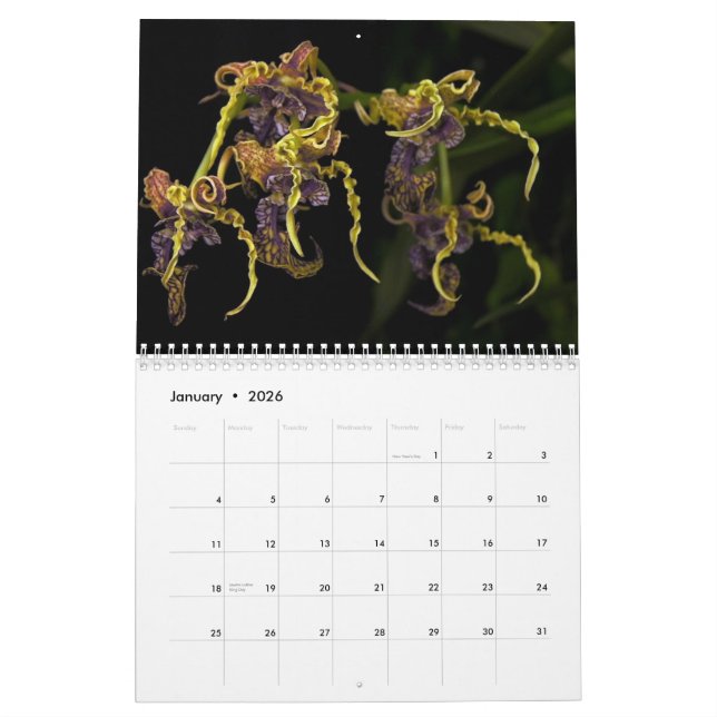 Calendario del jardín 2013 de Dave (Jan 2026)