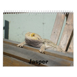 Calendario del jaspe 2009