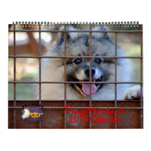 Calendario del Keeshond de 2019 trompetas