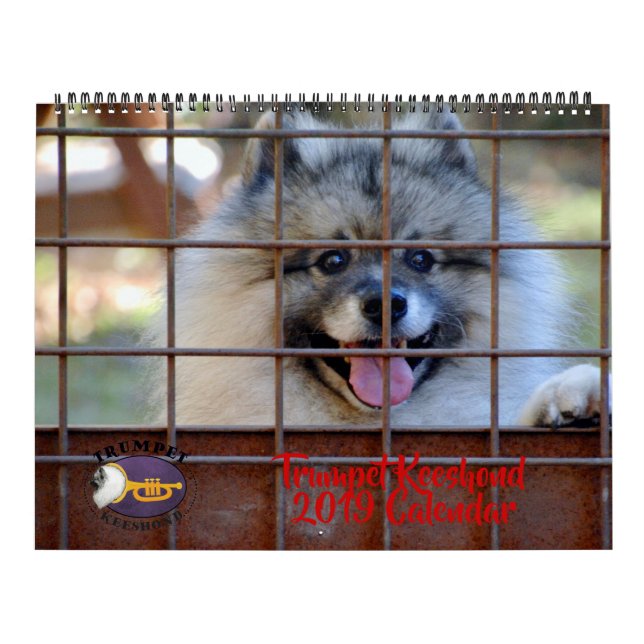 Calendario del Keeshond de 2019 trompetas (Tapa)