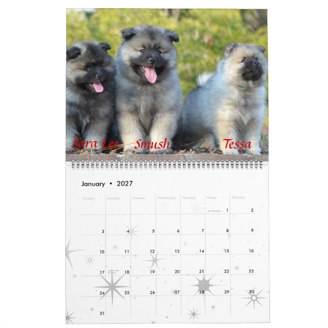 Calendario del Keeshond de la trompeta (Jan 2027)