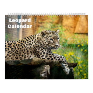 Calendario del leopardo 2027
