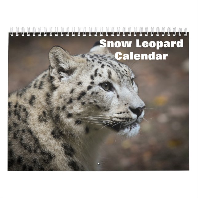 Calendario del leopardo de las nieves 2025 (Tapa)
