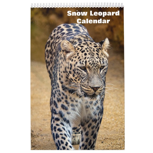 Calendario del leopardo de las nieves 2025 (Tapa)