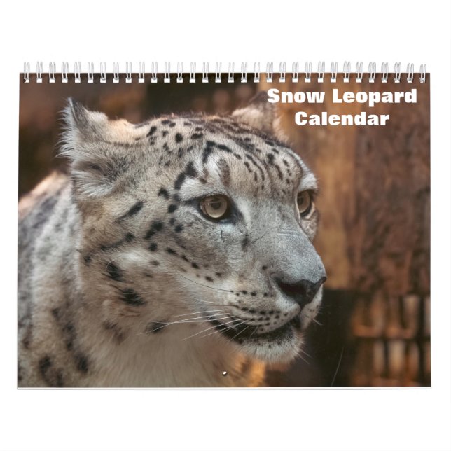 Calendario del leopardo de las nieves 2025 (Tapa)
