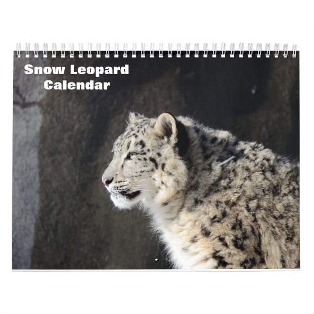 Calendario del leopardo de las nieves 2025 (Tapa)
