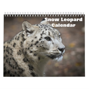 Calendario del leopardo de las nieves 2027