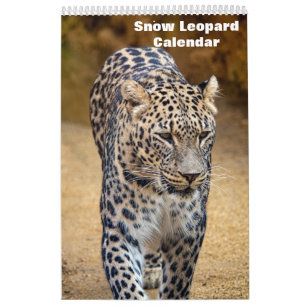 Calendario del leopardo de las nieves 2027