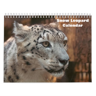 Calendario del leopardo de las nieves 2027