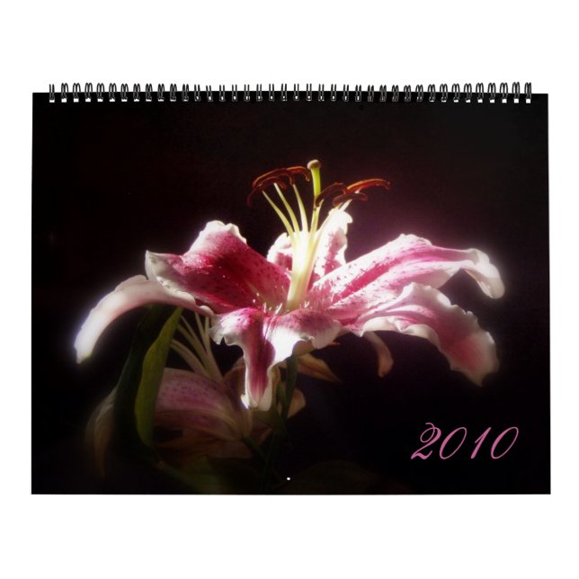 Calendario del lirio del Stargazer (Tapa)