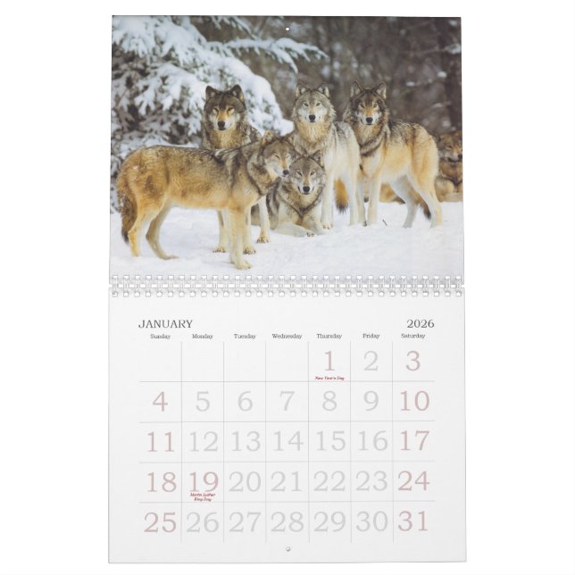 Calendario del lobo (Jan 2026)
