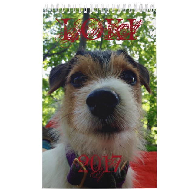 Calendario del Loki 2017 (Tapa)