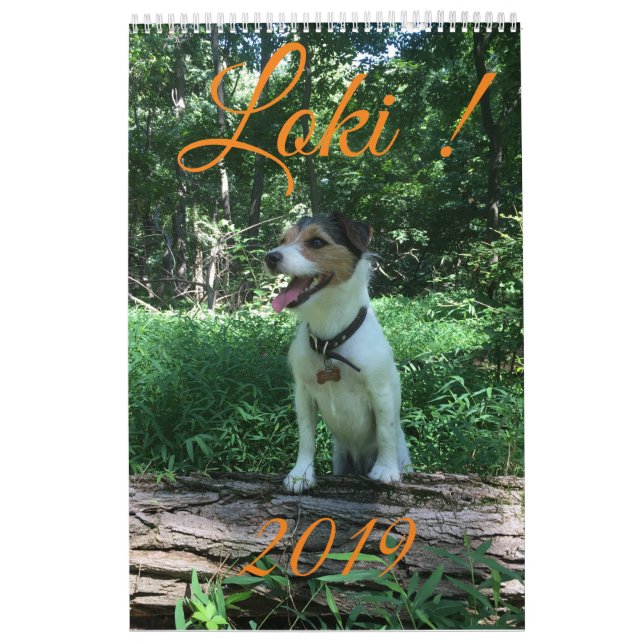 Calendario del Loki 2019 (Tapa)