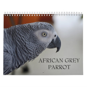 Calendario del loro del gris africano de Congo