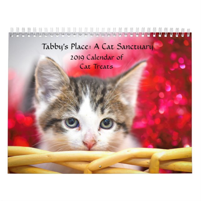 Calendario del lugar del Tabby (Tapa)