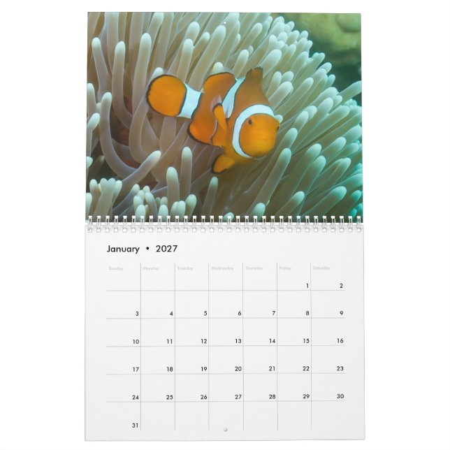 Calendario del Mar de Coral 2023 (Jan 2027)