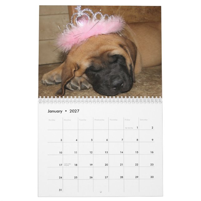 Calendario del mastín el dormir (Jan 2027)