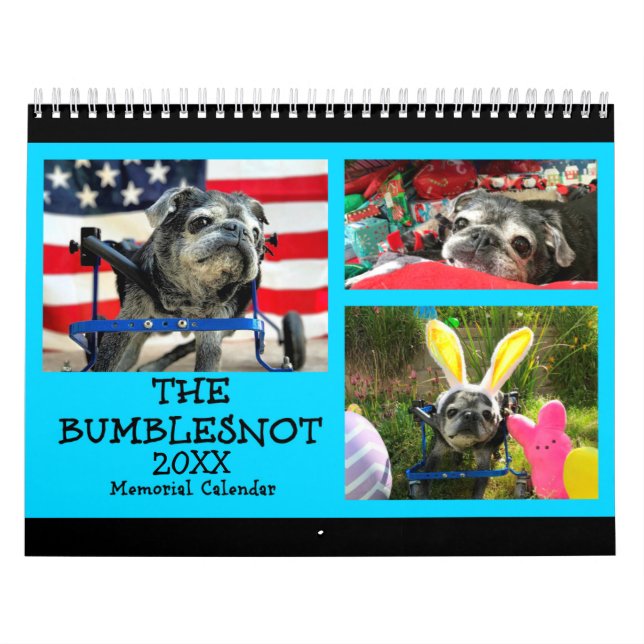 Calendario del monumento de Bumblesnot 2018 (Tapa)