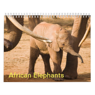 Calendario del Muro de los Elefantes Africanos