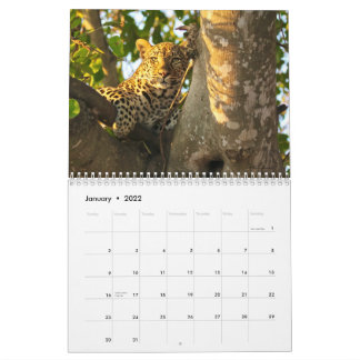 Calendario del Muro de Vida Silvestre 2022