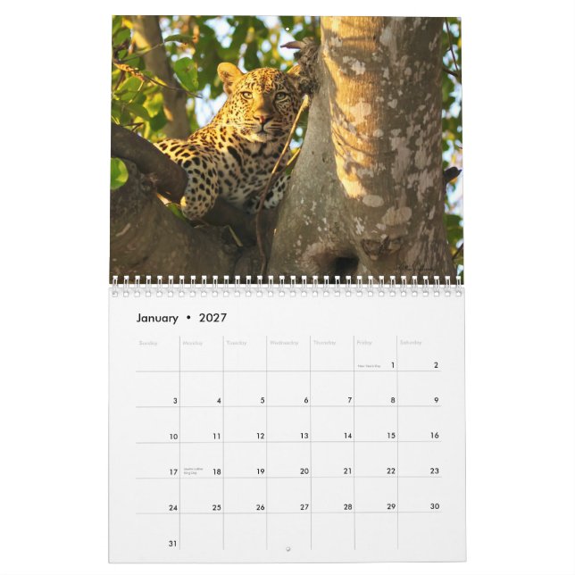 Calendario del Muro de Vida Silvestre 2022 (Jan 2027)