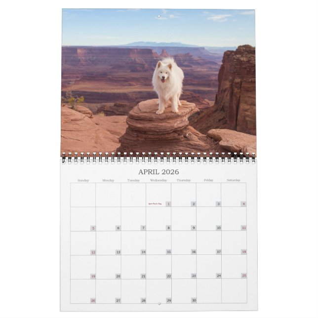 Calendario del Oso de Arroz de Coco 2024 (Apr 2026)