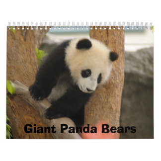 Calendario del oso de panda gigante, osos de panda