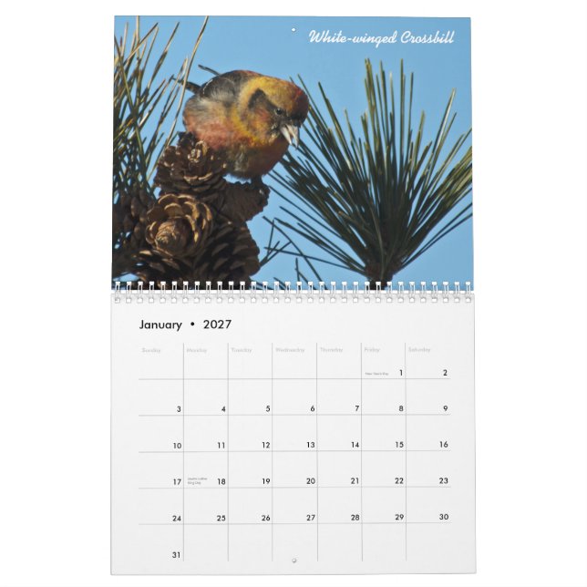 Calendario del pájaro de 2015 norteamericanos (Jan 2027)