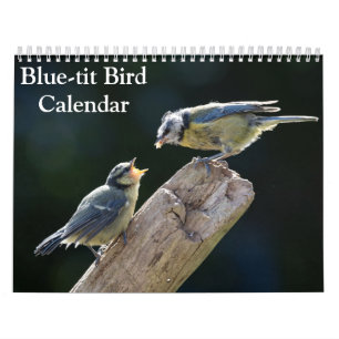 Calendario del pájaro herrerillo 2027