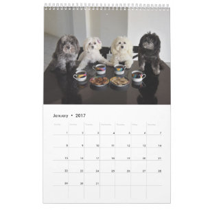 Calendario del paquete 2017 de PBJ