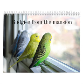 Calendario del Parakeet