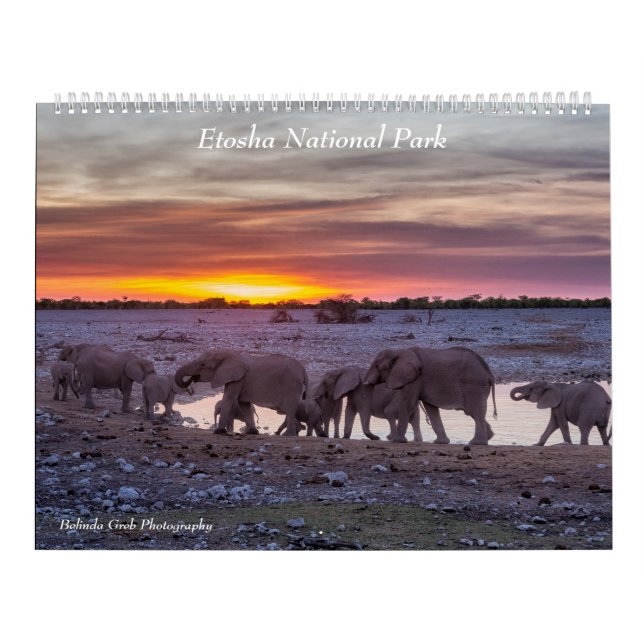 Calendario del Parque Nacional Etosha 2020 (Tapa)