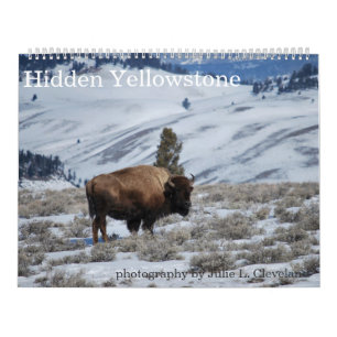 Calendario del Parque Nacional Hidden Yellowstone