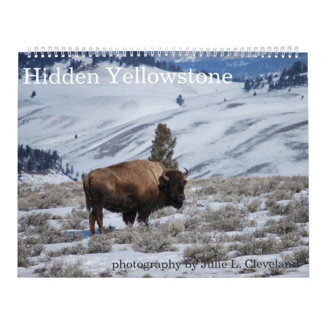 Calendario del Parque Nacional Hidden Yellowstone (Tapa)