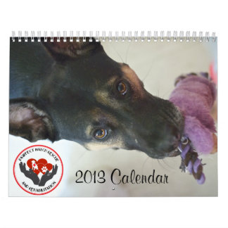Calendario del partido 2013 de Pawfect