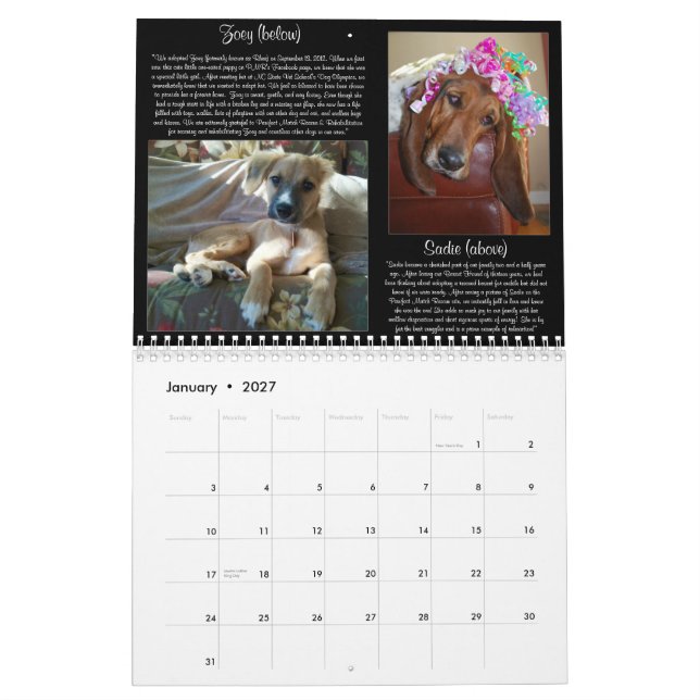 Calendario del partido 2013 de Pawfect (Jan 2027)