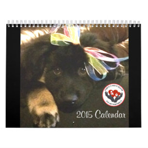 Calendario del partido 2015 de Pawfect