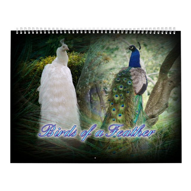 Calendario del pavo real del Birds of a Feather (Tapa)