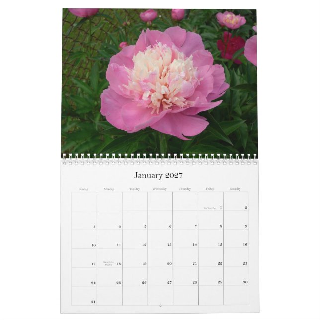 Calendario del Peony agosto de 2007-julio de 2008 (Jan 2027)