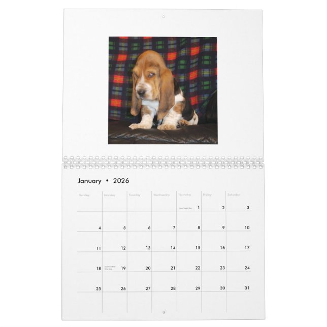 Calendario del perrito de Basset Hound (Jan 2026)
