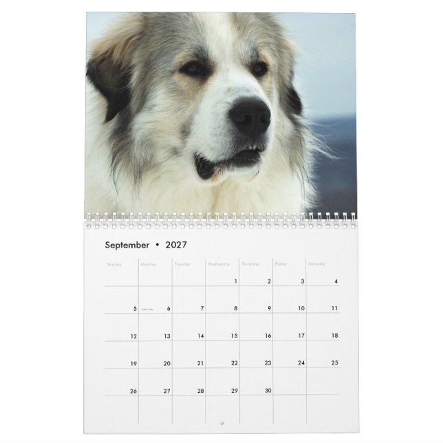 Calendario del perrito de los 2016 grandes (Sep 2027)