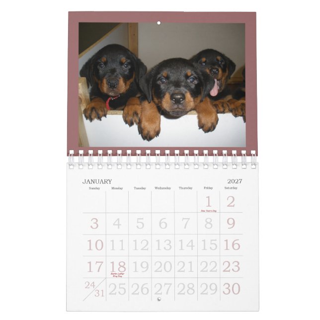 Calendario del perrito de Rottweiler (Jan 2027)