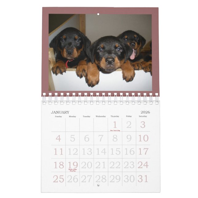Calendario del perrito de Rottweiler (Jan 2026)