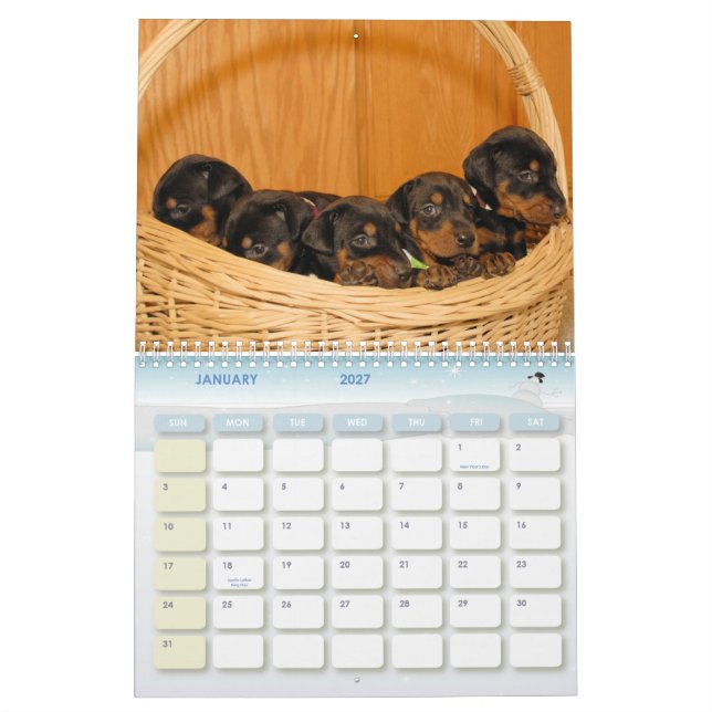 Calendario del perrito del Doberman (Jan 2027)