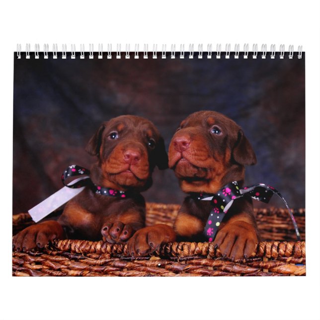 Calendario del perrito del Doberman (Tapa)