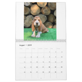 Calendario del perrito del perro de afloramiento